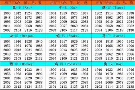 2002年 生肖|2002年1月出生属什么生肖